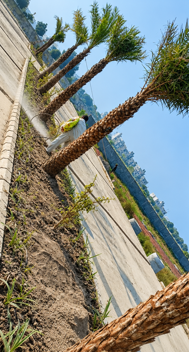 Landscape contractor by Total Green Solutions
